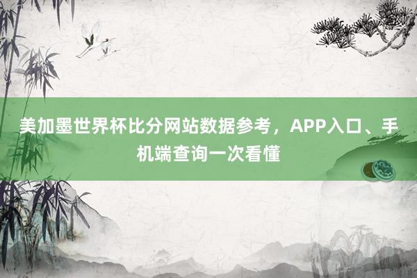 美加墨世界杯比分网站数据参考，APP入口、手机端查询一次看懂